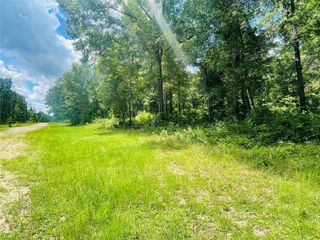 Lot 25 Wood Haven, Livingston, TX 77351