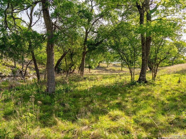 862 Grape Creek Road, Fredericksburg, TX 78624