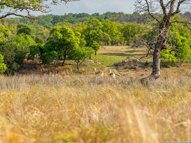 862 Grape Creek Road, Fredericksburg, TX 78624