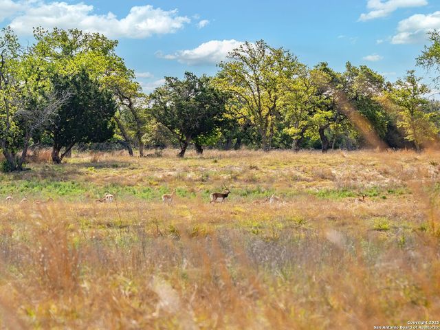862 Grape Creek Road, Fredericksburg, TX 78624