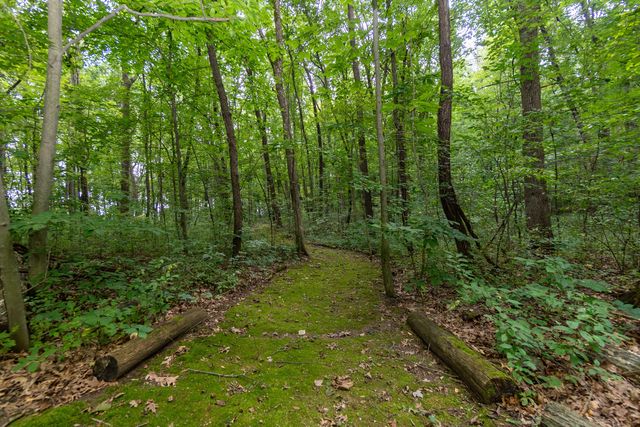 2589 Fisk Road, Genoa Twp, MI 48843
