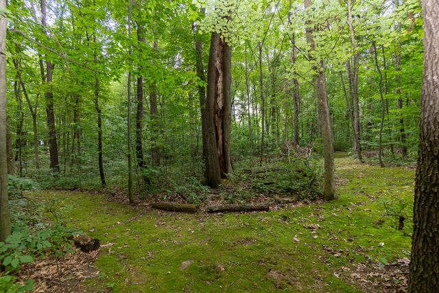 2589 Fisk Road, Genoa Twp, MI 48843