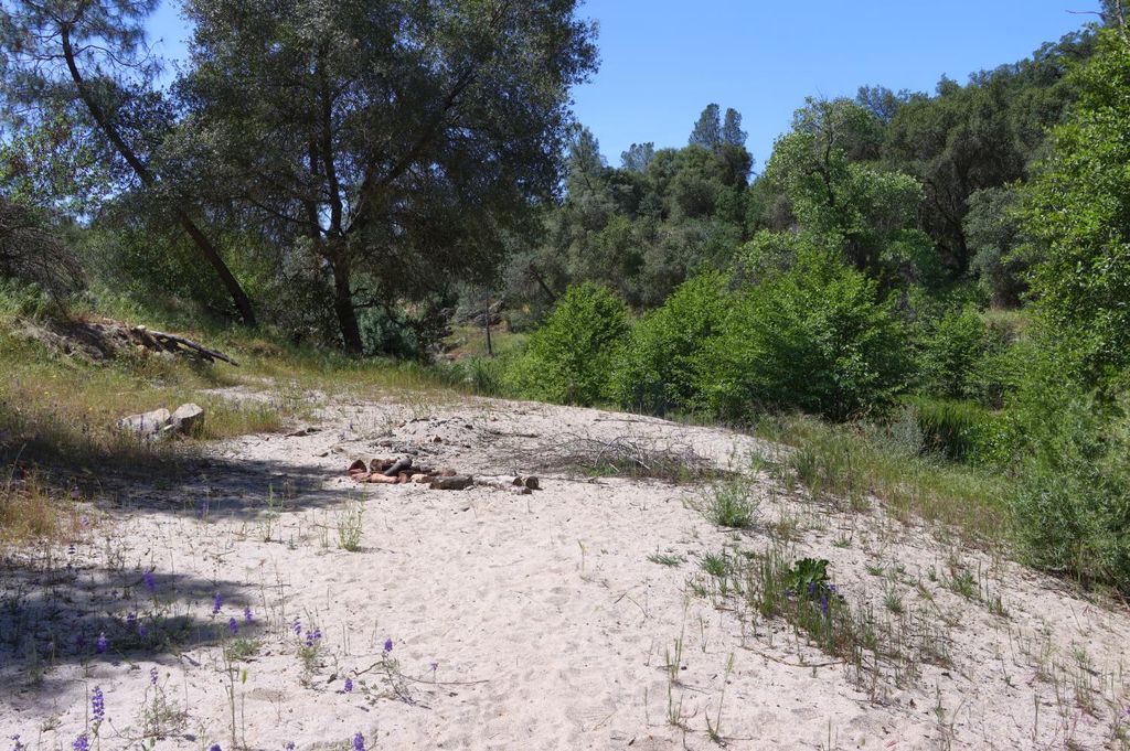 Image 11 of property listing at 80 Polk Ranch Road, Coarsegold, CA 93614