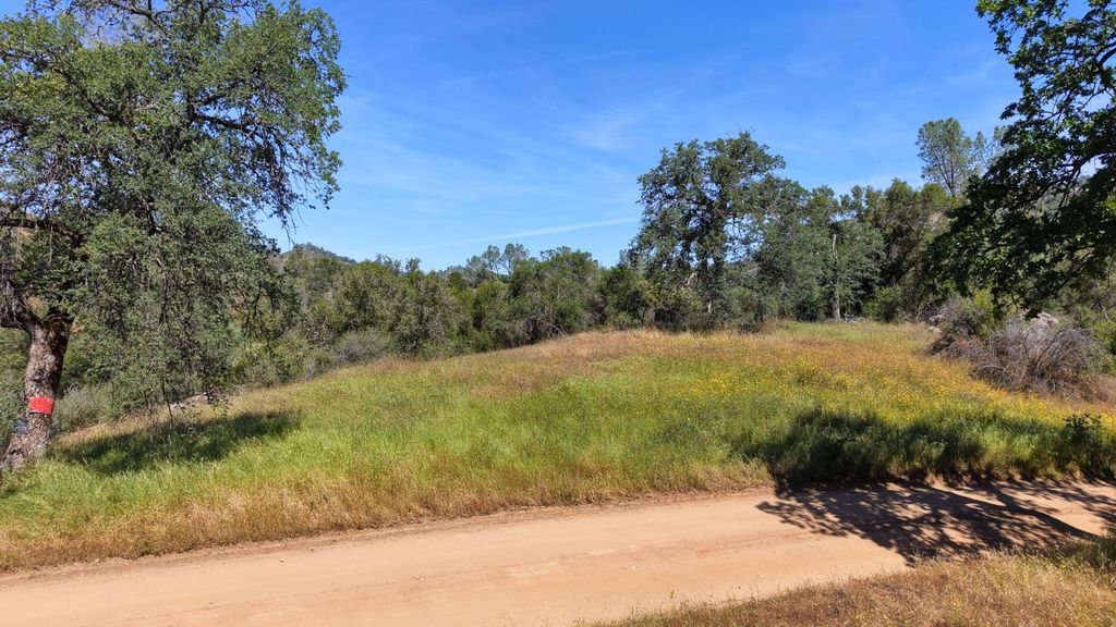 Image 12 of property listing at 80 Polk Ranch Road, Coarsegold, CA 93614