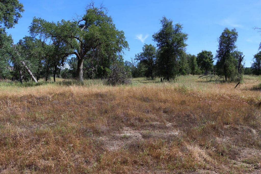 Image 15 of property listing at 80 Polk Ranch Road, Coarsegold, CA 93614