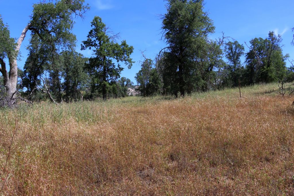 Image 16 of property listing at 80 Polk Ranch Road, Coarsegold, CA 93614