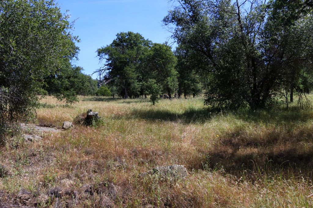 Image 17 of property listing at 80 Polk Ranch Road, Coarsegold, CA 93614