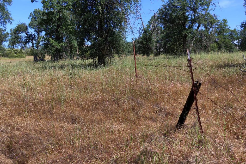 Image 21 of property listing at 80 Polk Ranch Road, Coarsegold, CA 93614