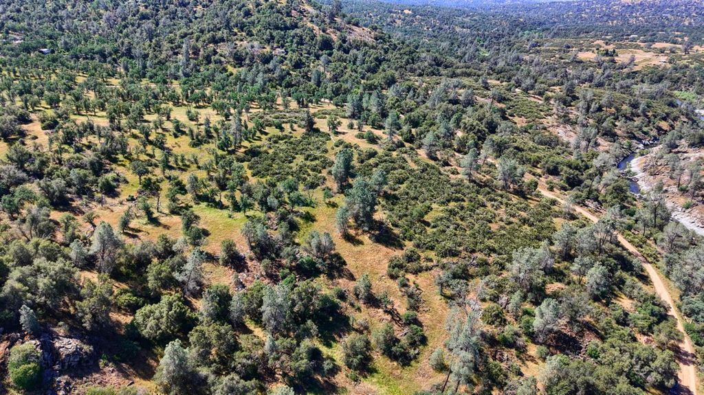 Image 24 of property listing at 80 Polk Ranch Road, Coarsegold, CA 93614