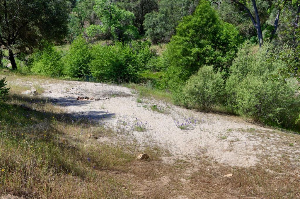 Image 5 of property listing at 80 Polk Ranch Road, Coarsegold, CA 93614