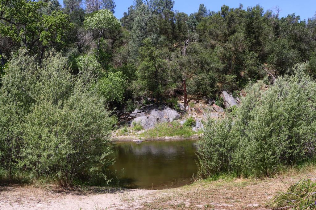 Image 6 of property listing at 80 Polk Ranch Road, Coarsegold, CA 93614