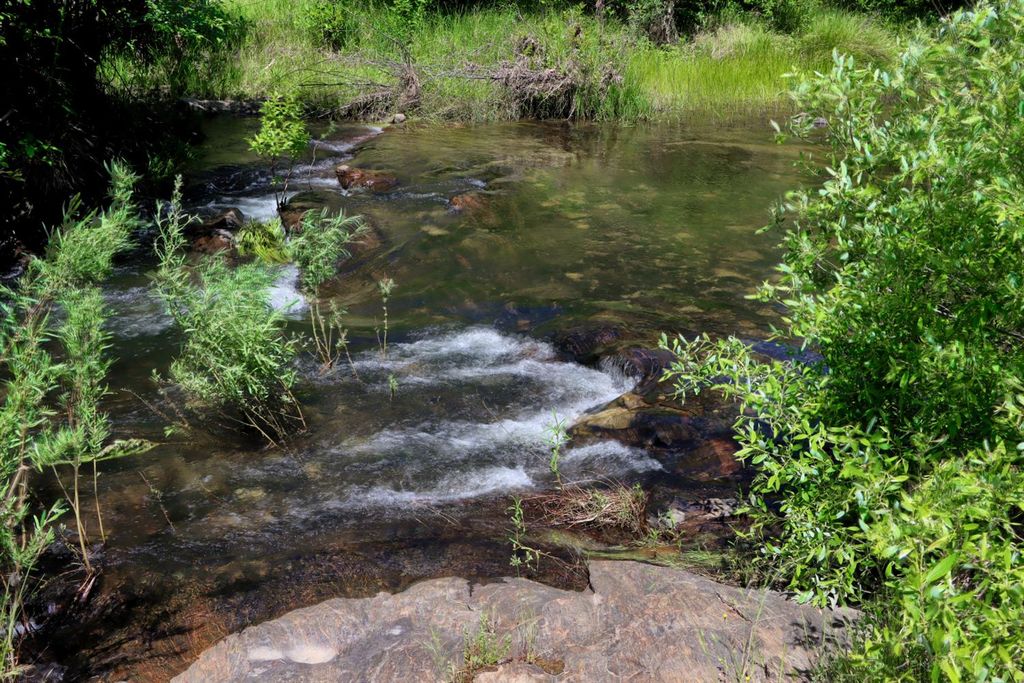 Image 9 of property listing at 80 Polk Ranch Road, Coarsegold, CA 93614