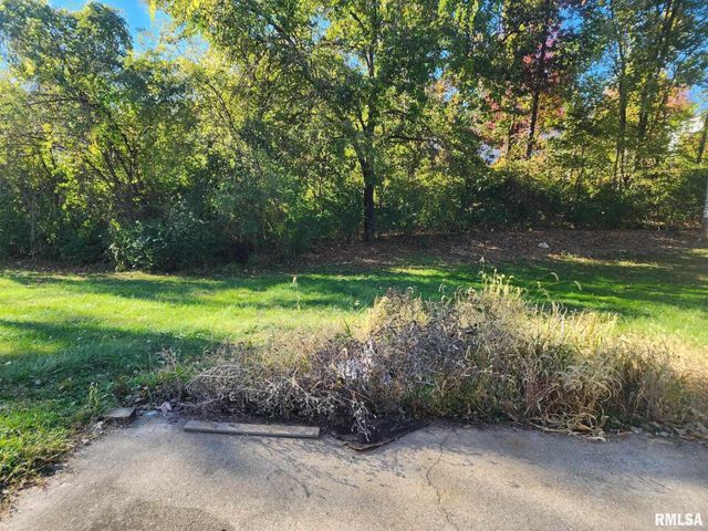 593 VIRGINIA Street, Hannibal, MO 63401