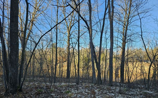 15xxx Lofty Pines Road, Pine City, MN 55063