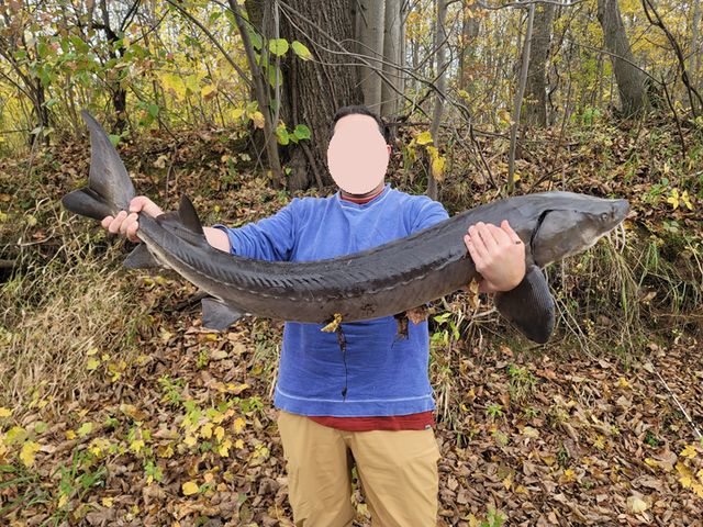 15xxx Lofty Pines Road, Pine City, MN 55063