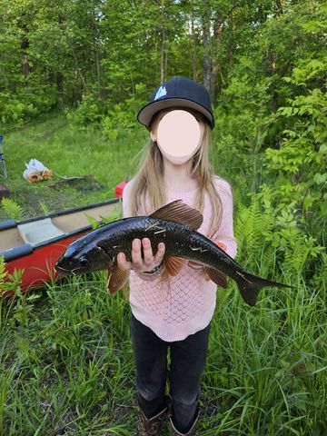 15xxx Lofty Pines Road, Pine City, MN 55063