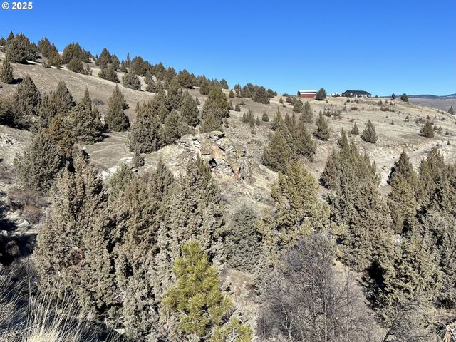 0 Blue Gulch Rd, Canyon City, OR 97820