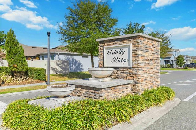 213 TRINITY RIDGE CIRCLE, Davenport, FL 33897