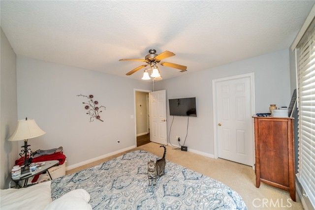 8225 Ailanthus Street, Phelan, CA 92371