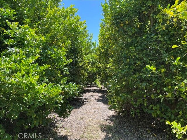 44952 Vista Del Mar, Temecula, CA 92590