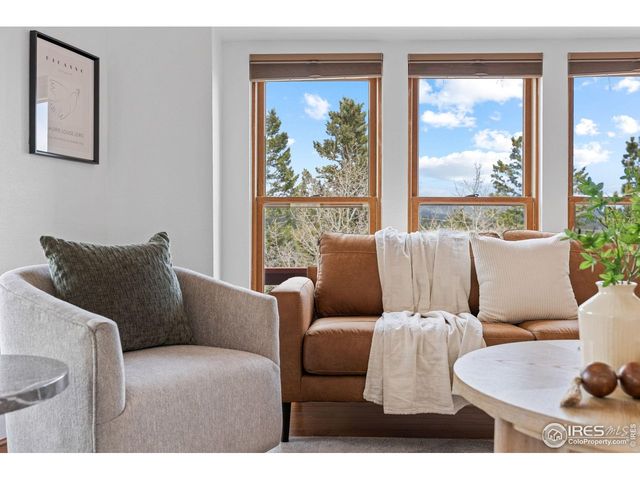 880 Hummer Dr, Nederland, CO 80466