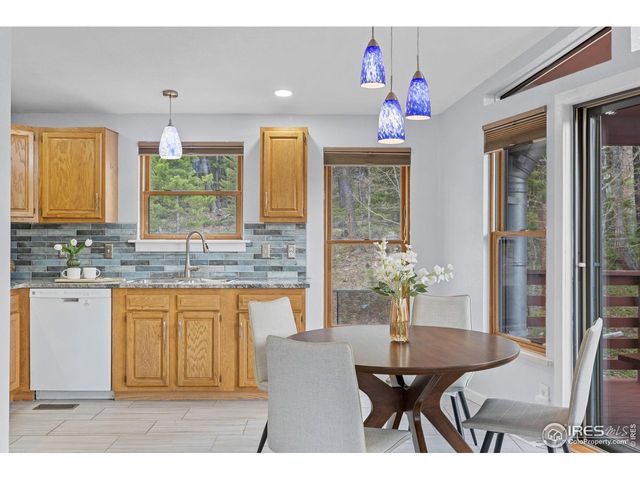 880 Hummer Dr, Nederland, CO 80466