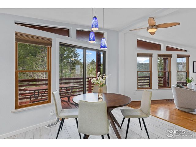 880 Hummer Dr, Nederland, CO 80466