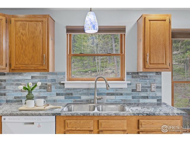 880 Hummer Dr, Nederland, CO 80466