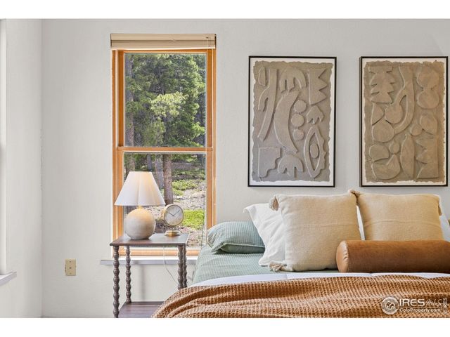 880 Hummer Dr, Nederland, CO 80466