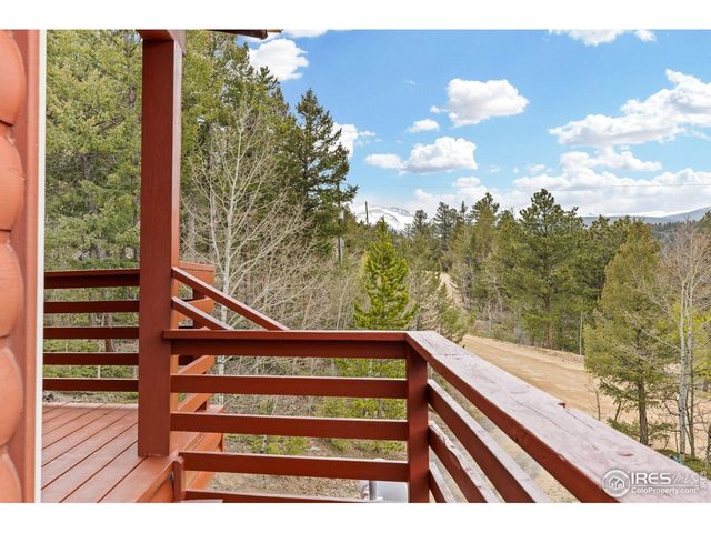 880 Hummer Dr, Nederland, CO 80466