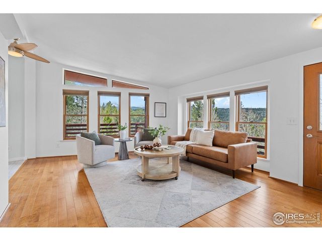 880 Hummer Dr, Nederland, CO 80466