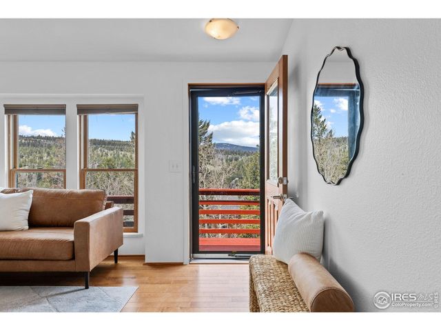 880 Hummer Dr, Nederland, CO 80466