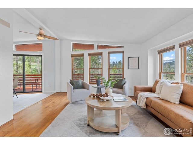 880 Hummer Dr, Nederland, CO 80466