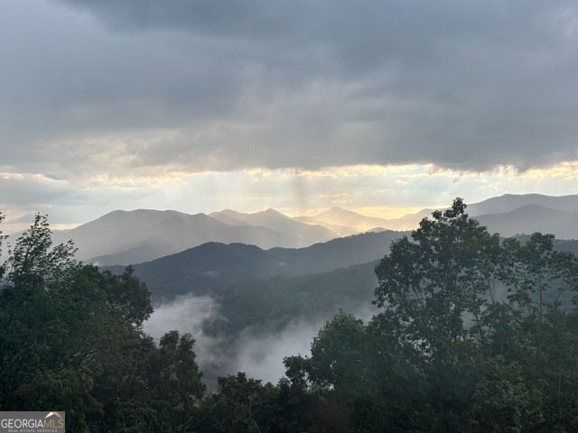 58 Buttons Lane, Dillard, GA 30537