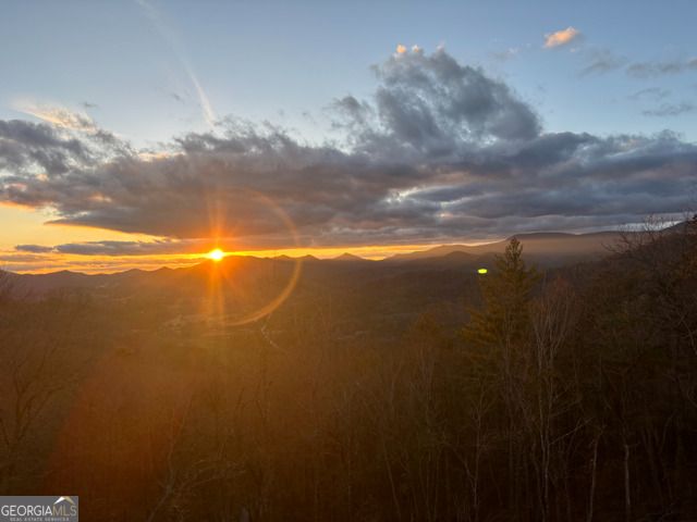 58 Buttons Lane, Dillard, GA 30537