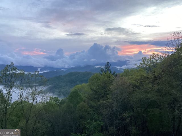 58 Buttons Lane, Dillard, GA 30537