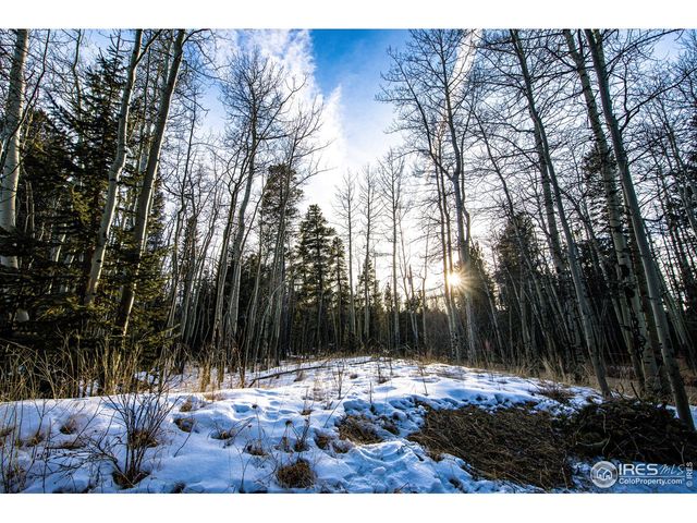 172 Thorn Cir, Black Hawk, CO 80422