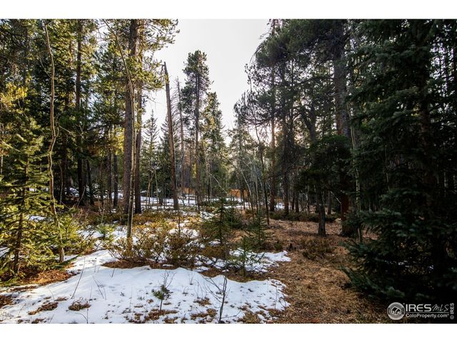 172 Thorn Cir, Black Hawk, CO 80422