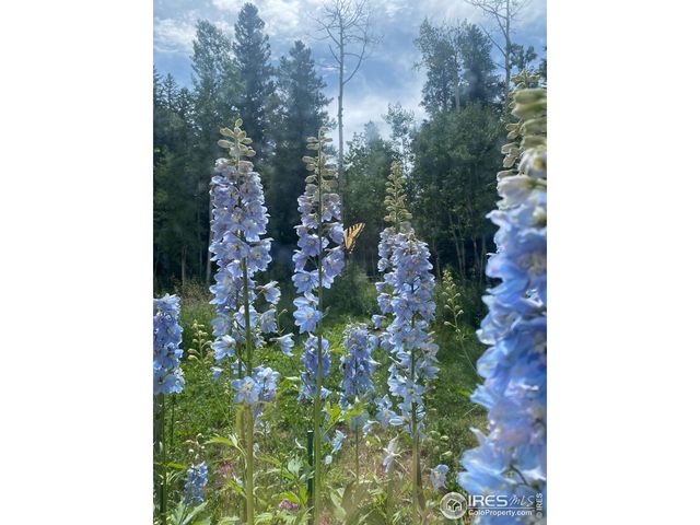 172 Thorn Cir, Black Hawk, CO 80422