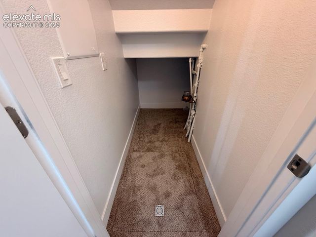 2981 Namib Drive, Colorado Springs, CO 80939