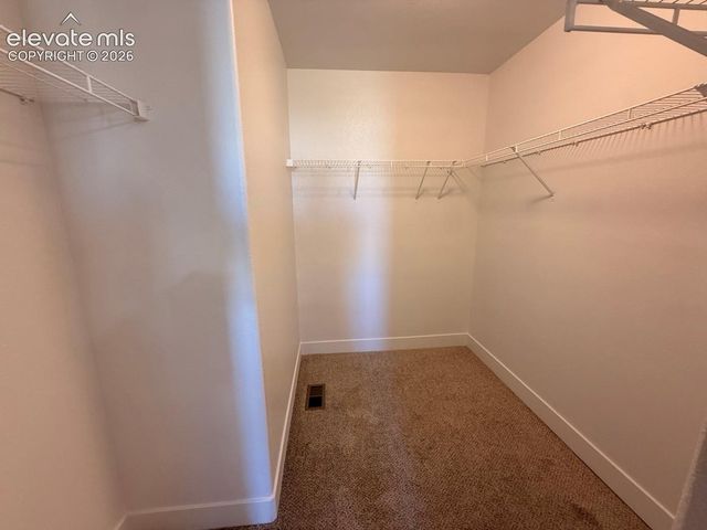 2981 Namib Drive, Colorado Springs, CO 80939
