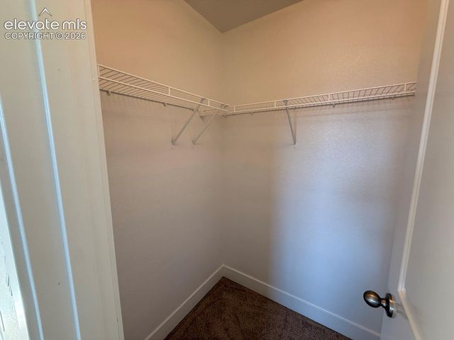 2981 Namib Drive, Colorado Springs, CO 80939