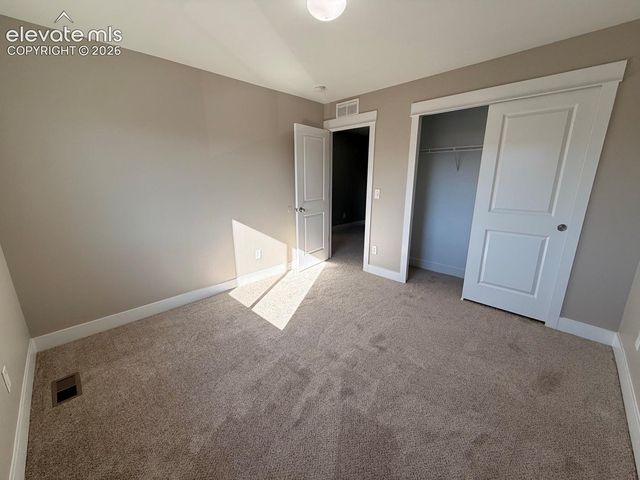2981 Namib Drive, Colorado Springs, CO 80939