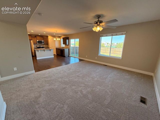 2981 Namib Drive, Colorado Springs, CO 80939