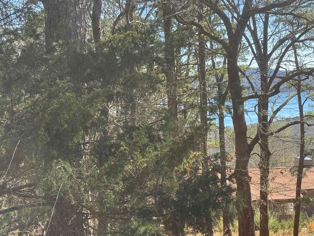 Lot 50 Lakeview Drive, Fairfield, AR 72088