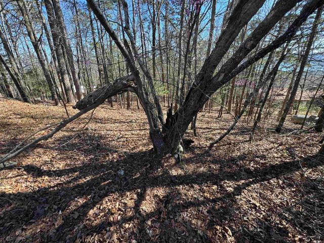 Lot 50 Lakeview Drive, Fairfield, AR 72088
