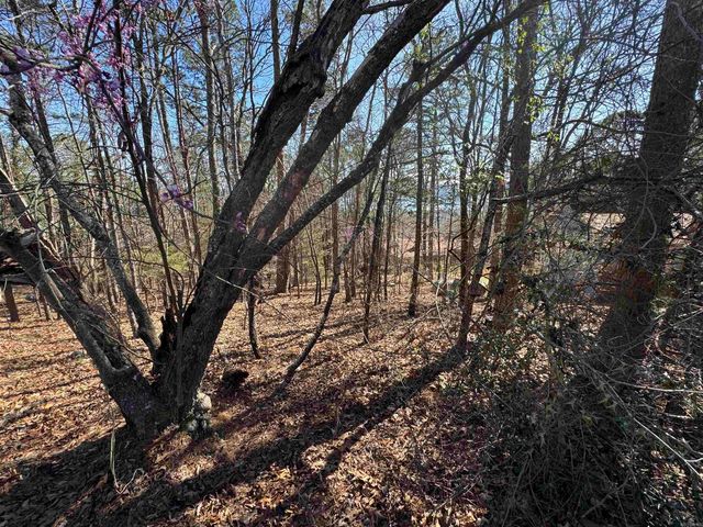 Lot 50 Lakeview Drive, Fairfield, AR 72088