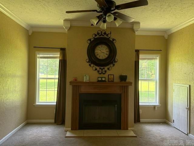 955 N Highway 15, Lonoke, AR 72076