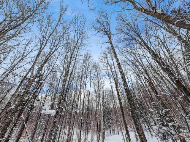 2370 Alden Highway, Mancelona, MI 49659