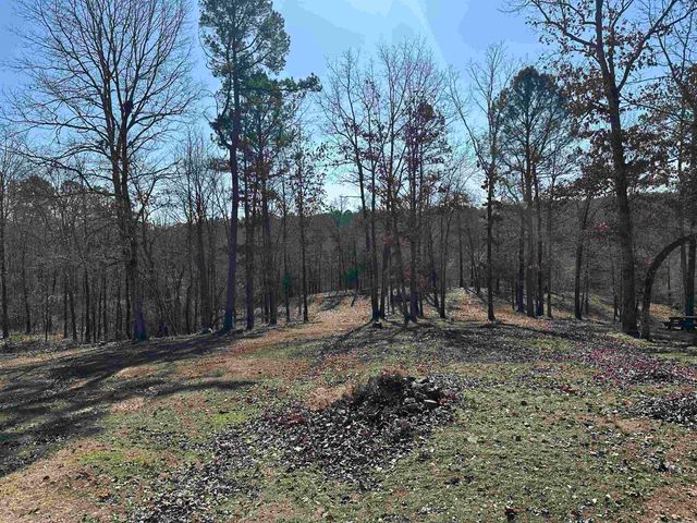 600 Timberlake Drive, Royal, AR 71968